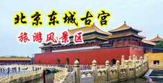 射进熟女逼里视频中国北京-东城古宫旅游风景区